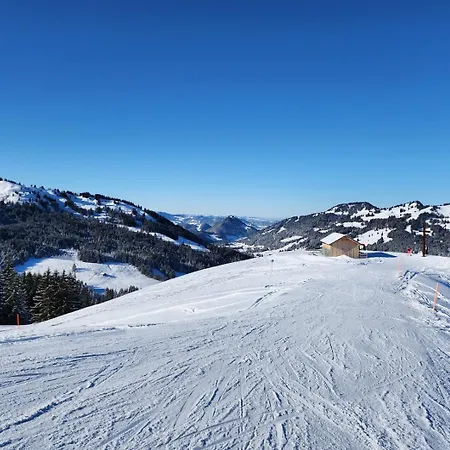 Alpenu Exklusiv Villa Balderschwang